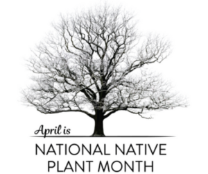 April is National Native Plant Month