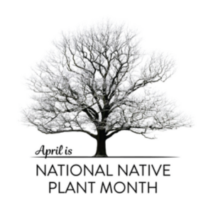 April is National Native Plant Month