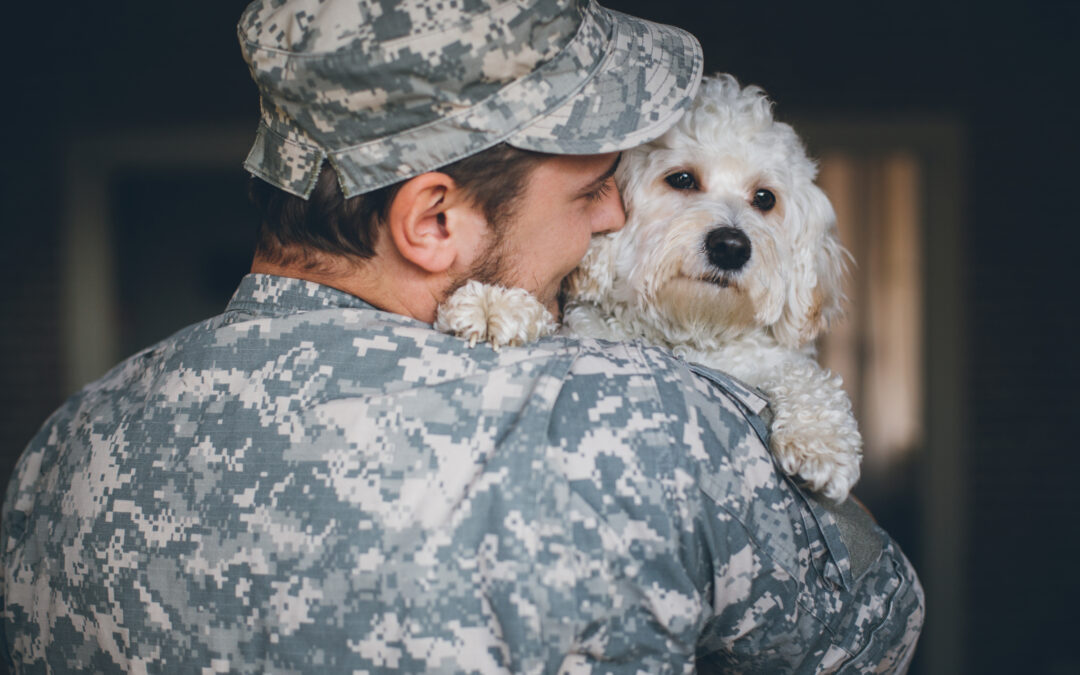 Dogs on Deployment – Providing Care for Military Pets When Duty Calls
