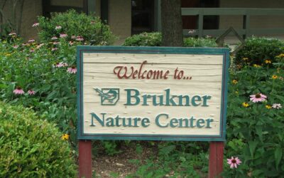 Rescue/Grant Recipient Highlight – Brukner Nature Center