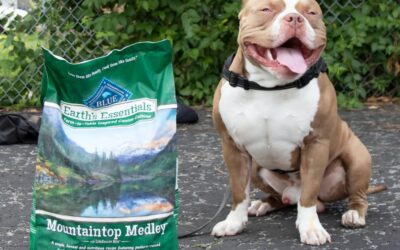 Tackling Pet Hunger in the Community