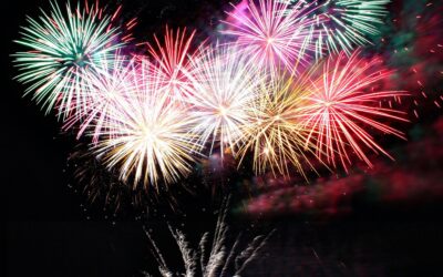 Keeping Pets Stress-free During the Fourth of July