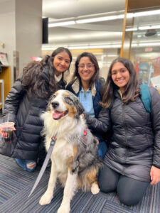 Skyler, a therapy dog, sitting happily with three Ohio State students during a Buckeye Paws event