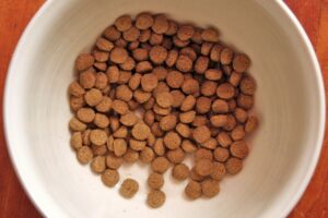 Pile of brown dry dog food kibble in a white bowl on a wooden table