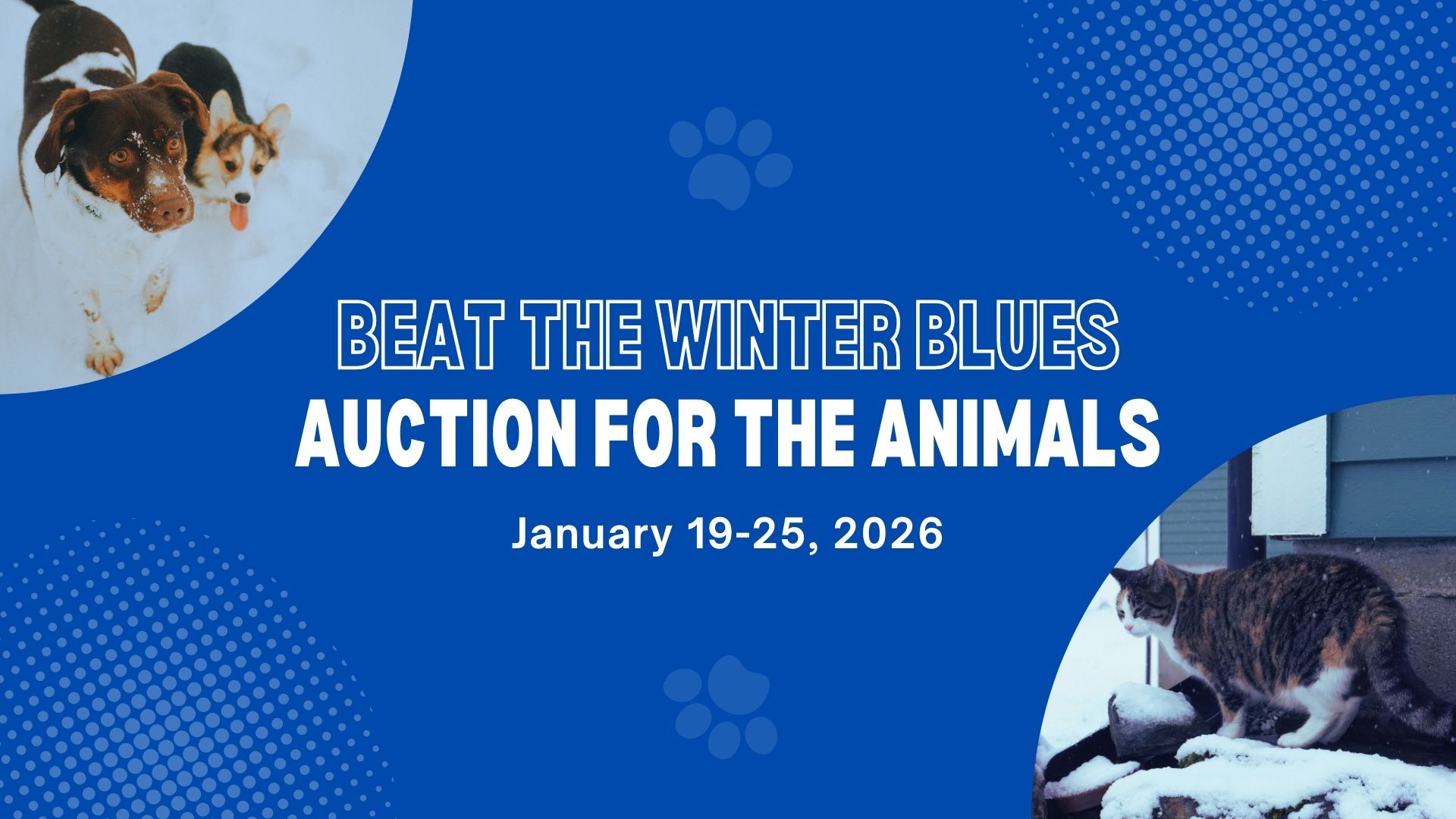 Auction for the Animals flyer. Two dogs in the upper left corner, small brown cat in the bottom right corner. 