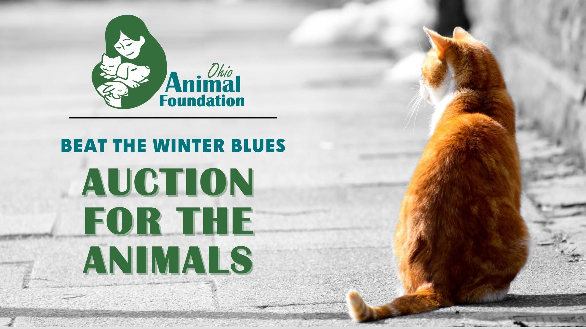 Auction for the Animals flyer. Two dogs in the upper left corner, small brown cat in the bottom right corner. 