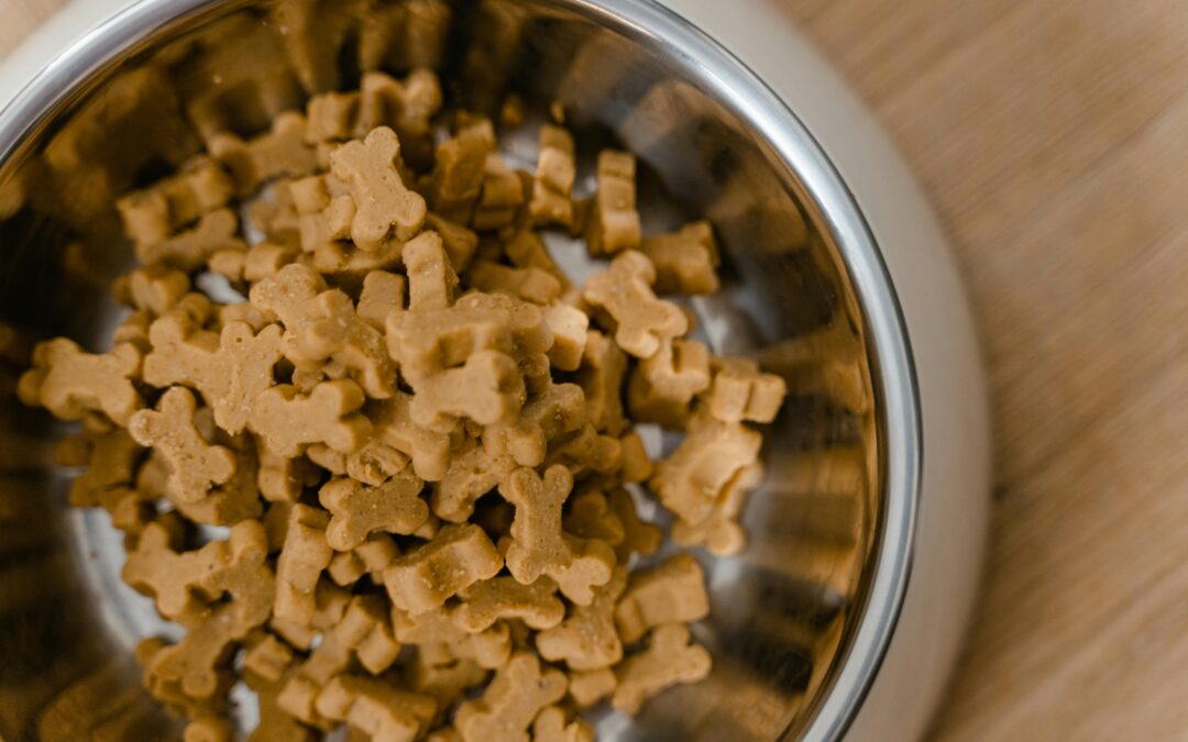 Making the Move to More Sustainable Pet Food