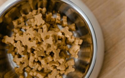 Making the Move to More Sustainable Pet Food
